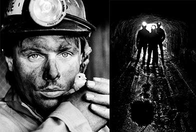 Canaries in the Coal Mine
