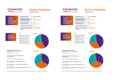 A series of infographics and pie charts showing VCSE trends in the North East for 2025